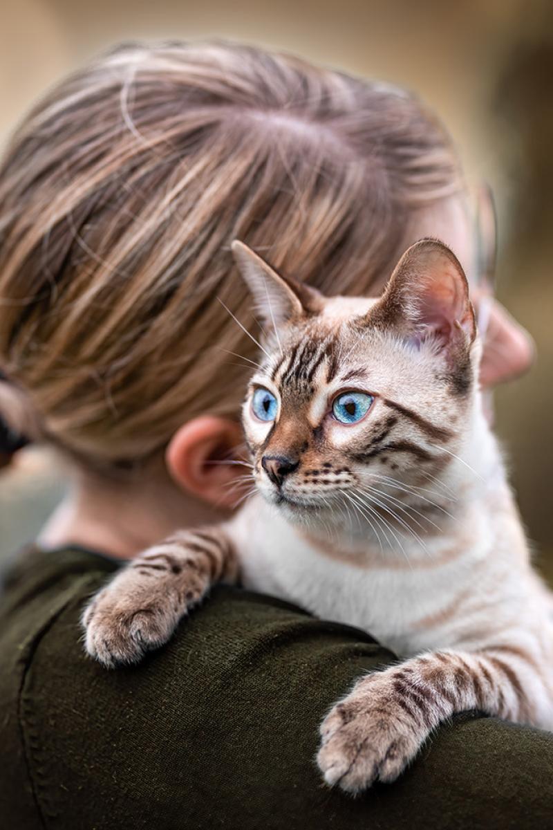 Katze Mensch Shooting In Viersen